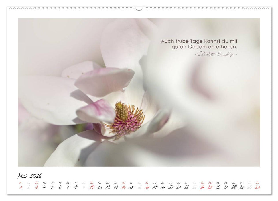 Mit guten Gedanken durch das Jahr (CALVENDO Wandkalender 2026)