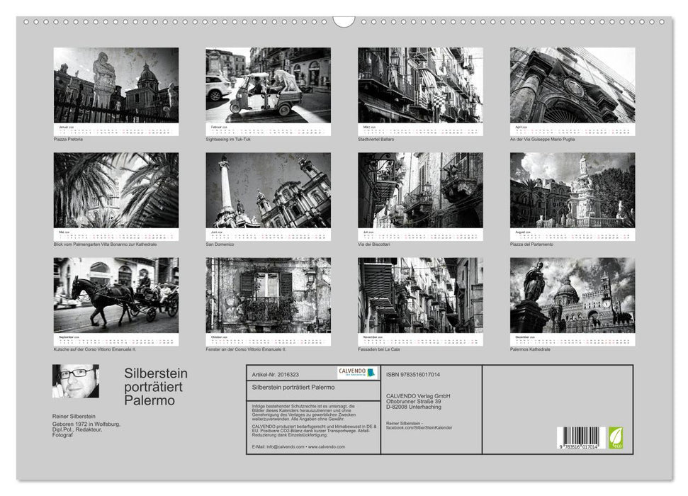 Silberstein porträtiert Palermo (CALVENDO Wandkalender 2026)