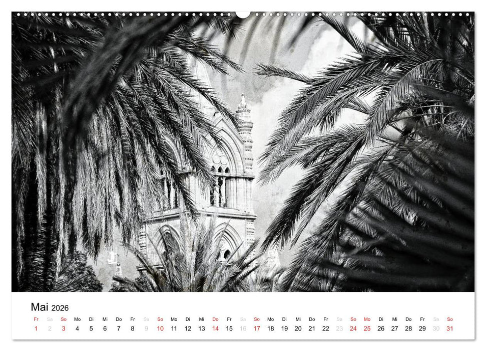 Silberstein porträtiert Palermo (CALVENDO Wandkalender 2026)