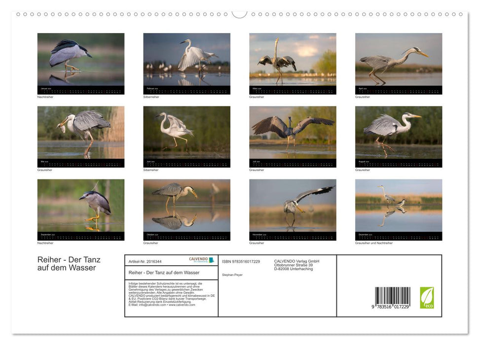 Reiher - Der Tanz auf dem Wasser (CALVENDO Premium Wandkalender 2026)