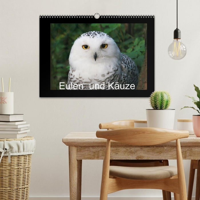 Eulen und Käuze (CALVENDO Wandkalender 2026)