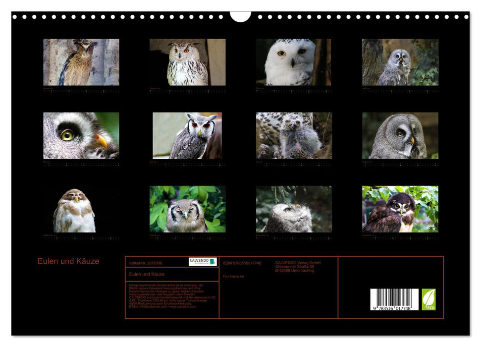 Eulen und Käuze (CALVENDO Wandkalender 2026)