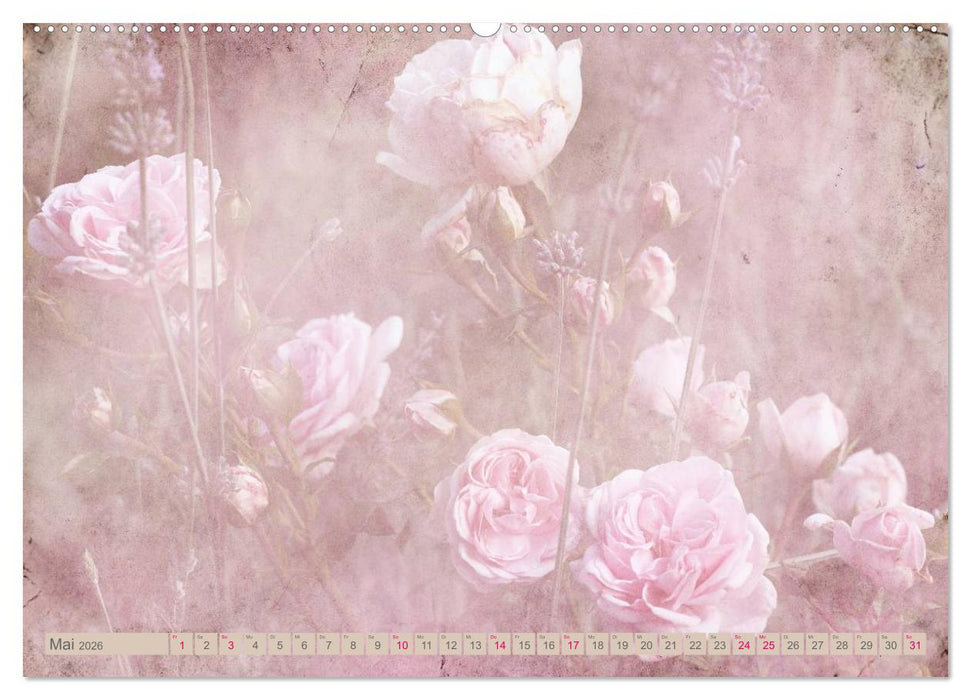 Rosenduft Shabby Chic Style (CALVENDO Wandkalender 2026)