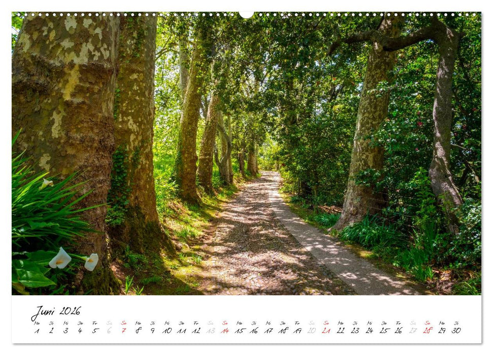 Madeira - ewiger Frühling (CALVENDO Premium Wandkalender 2026)