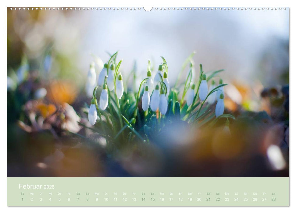 Zeitenwandel - Ein Jahr in der Natur (CALVENDO Premium Wandkalender 2026)