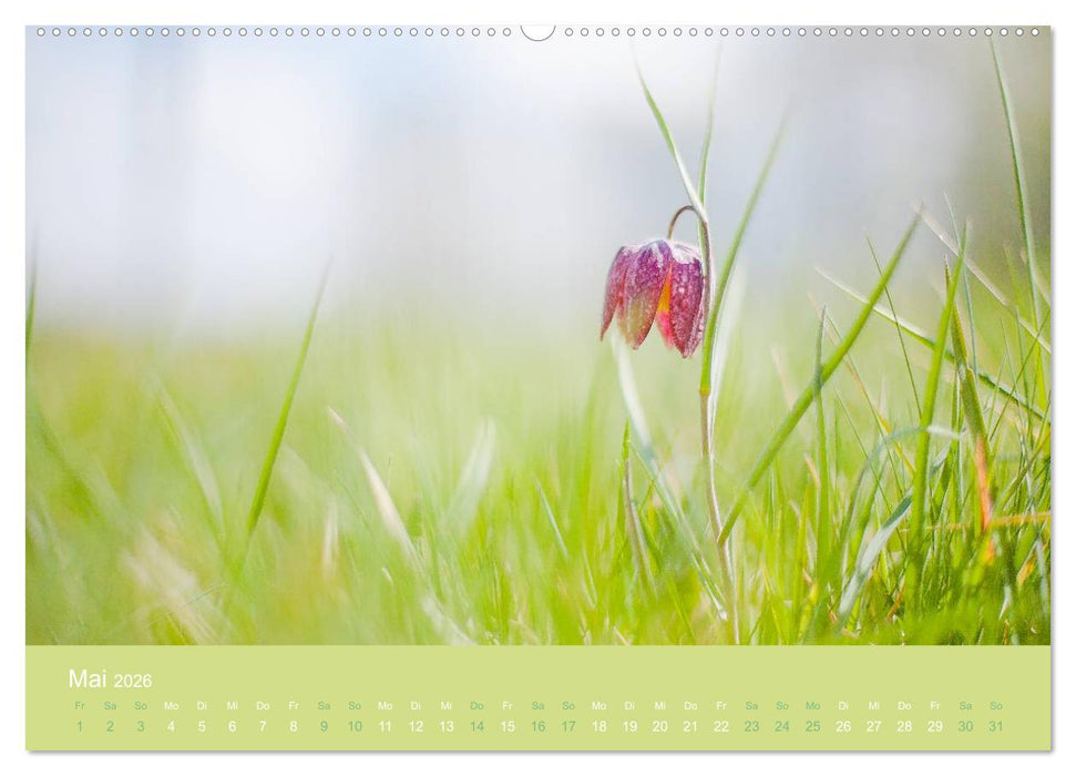 Zeitenwandel - Ein Jahr in der Natur (CALVENDO Premium Wandkalender 2026)