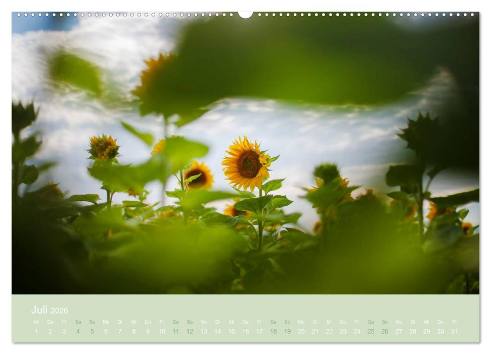 Zeitenwandel - Ein Jahr in der Natur (CALVENDO Premium Wandkalender 2026)