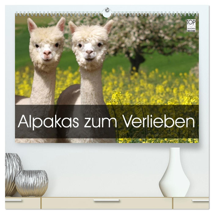 Alpakas zum Verlieben (CALVENDO Premium Wandkalender 2026)