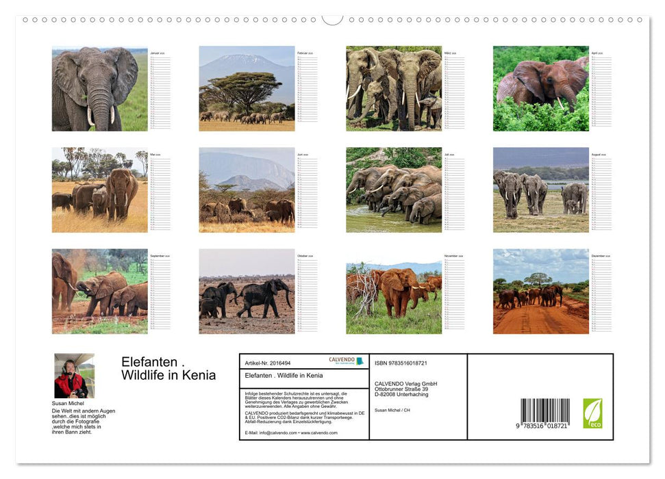 Elefanten . Wildlife in Kenia (CALVENDO Premium Wandkalender 2026)