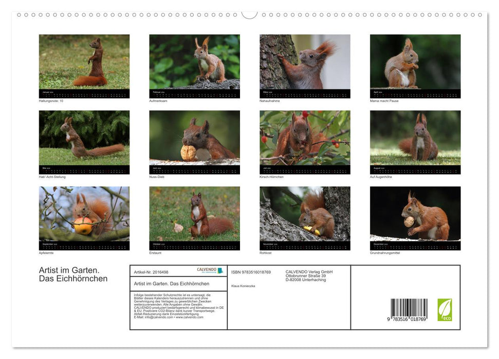 Artist im Garten. Das Eichhörnchen (CALVENDO Premium Wandkalender 2026)