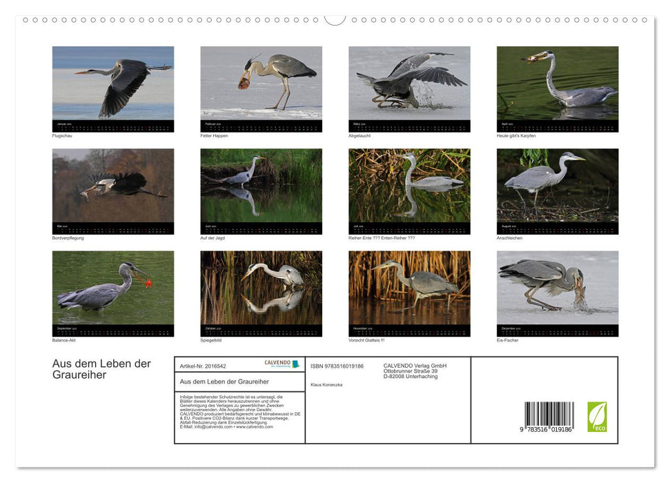 Aus dem Leben der Graureiher (CALVENDO Premium Wandkalender 2026)