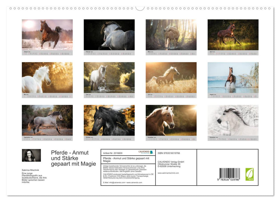 Pferde - Anmut und Stärke gepaart mit Magie (CALVENDO Premium Wandkalender 2026)