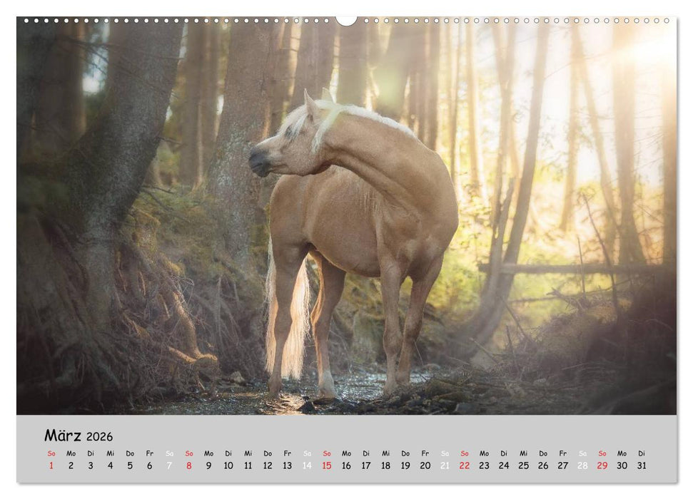Pferde - Anmut und Stärke gepaart mit Magie (CALVENDO Premium Wandkalender 2026)