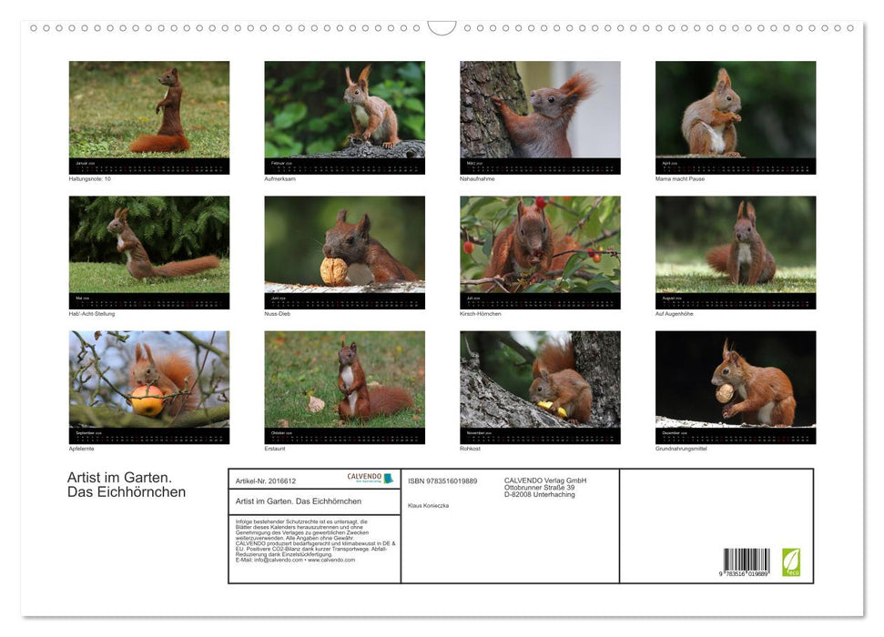 Artist im Garten. Das Eichhörnchen (CALVENDO Wandkalender 2026)