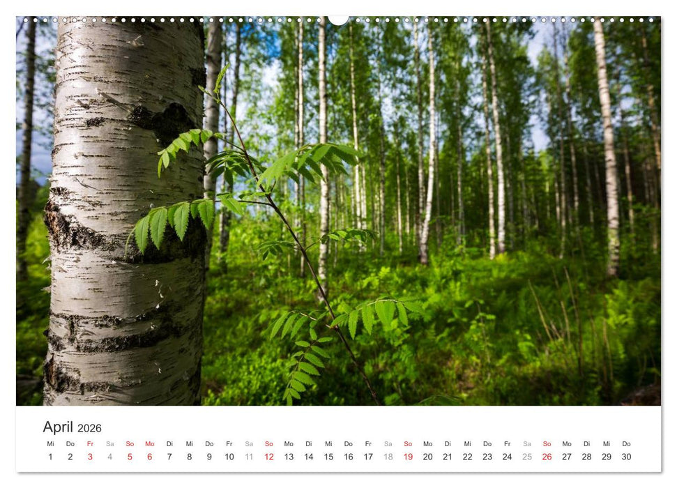 Landschaften Finnlands (CALVENDO Wandkalender 2026)