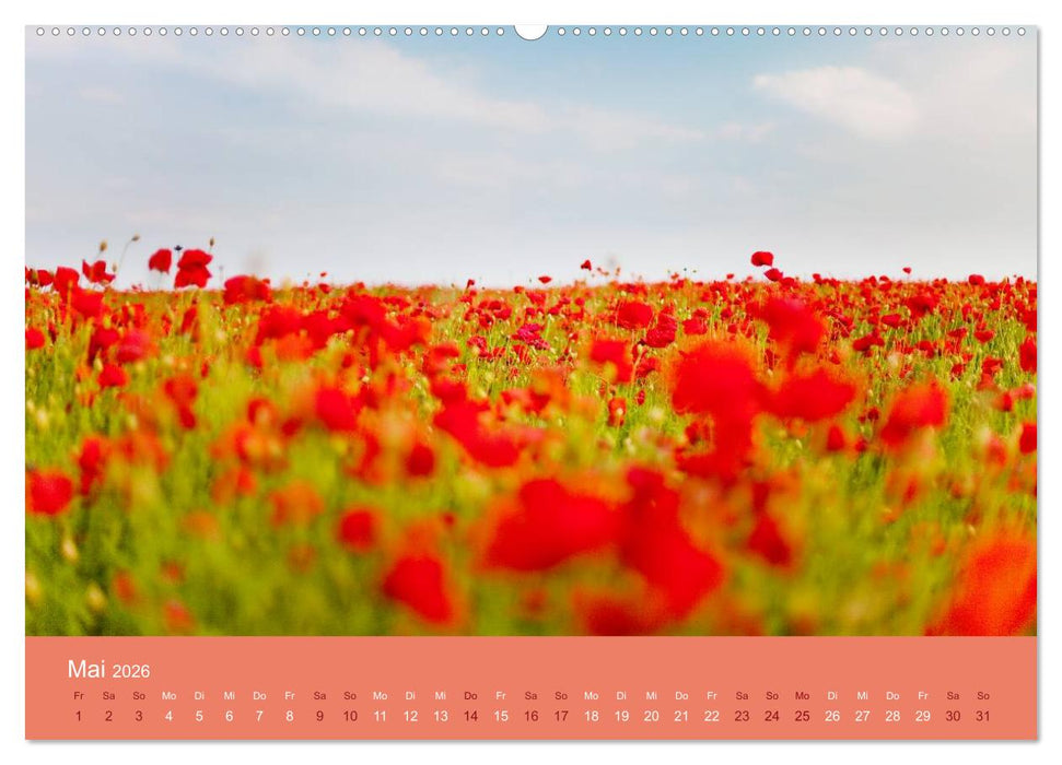 Berg, Land und Meer - Eine Reise durch die Landschaften (CALVENDO Premium Wandkalender 2026)