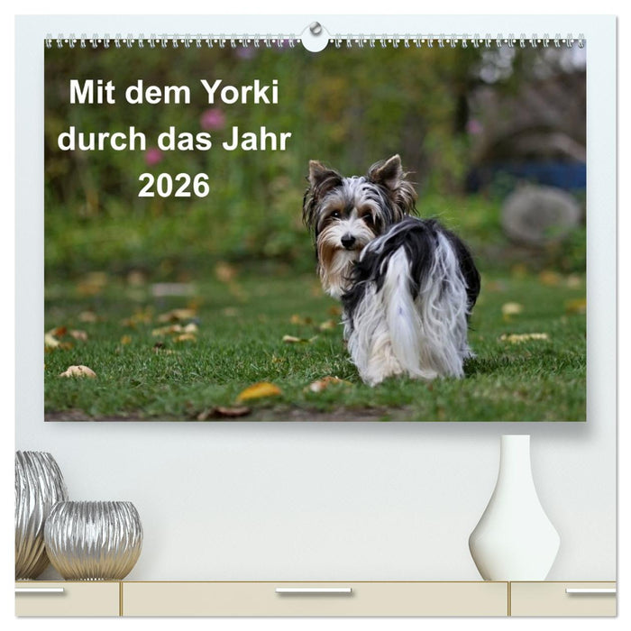 Mit dem Yorki durch das Jahr 2026 (CALVENDO Premium Wandkalender 2026)