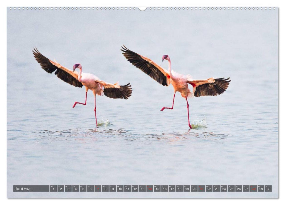 Ostafrika (CALVENDO Wandkalender 2026)