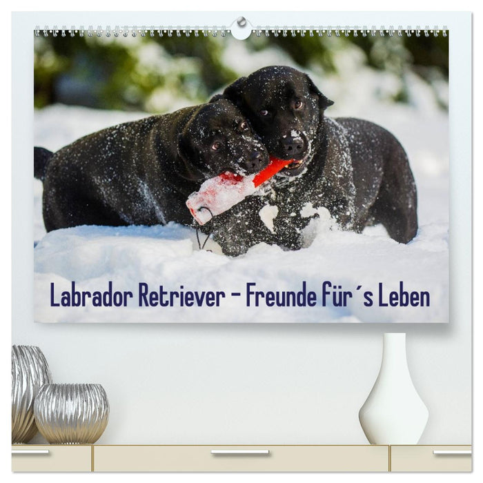 Labrador Retriever - Freunde für´s Leben (CALVENDO Premium Wandkalender 2026)