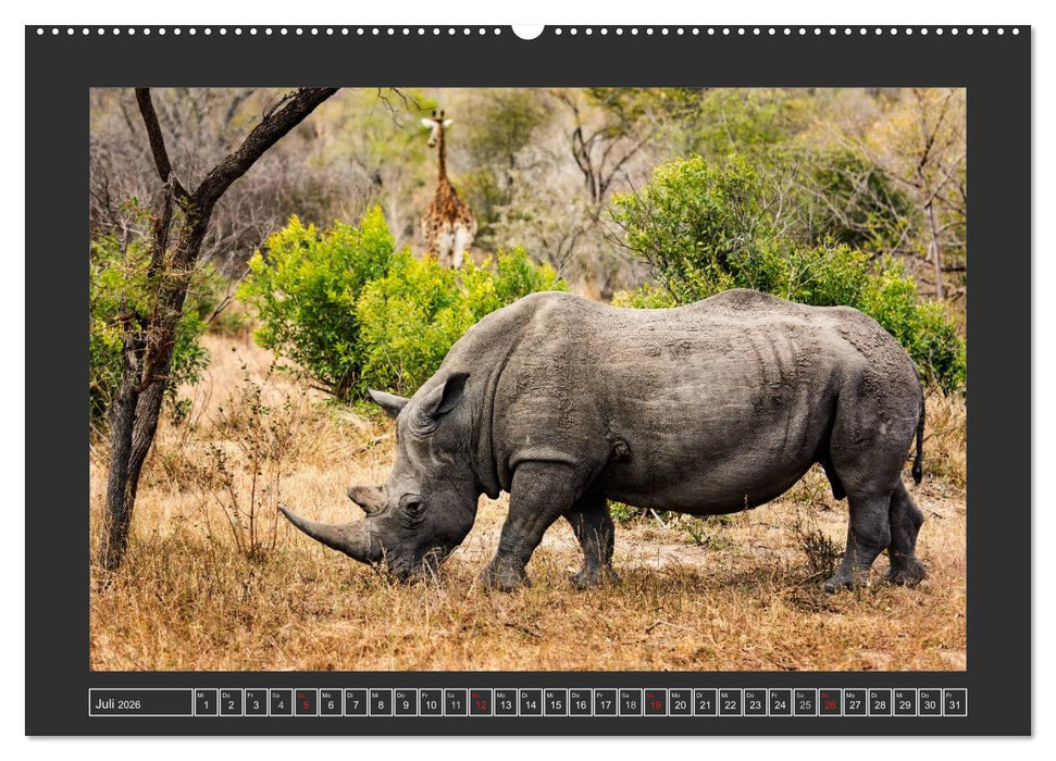 Das Weiße Nashorn (CALVENDO Premium Wandkalender 2026)
