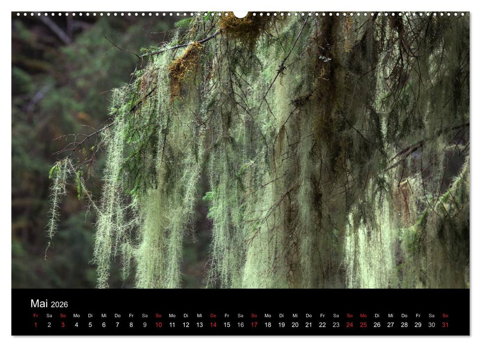 FASZINATION ALASKA Expedition durch die Inside Passage (CALVENDO Wandkalender 2026)