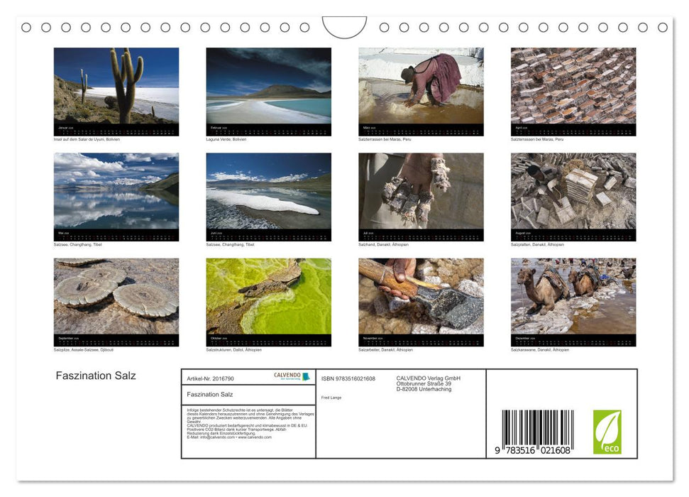 Faszination Salz (CALVENDO Wandkalender 2026)