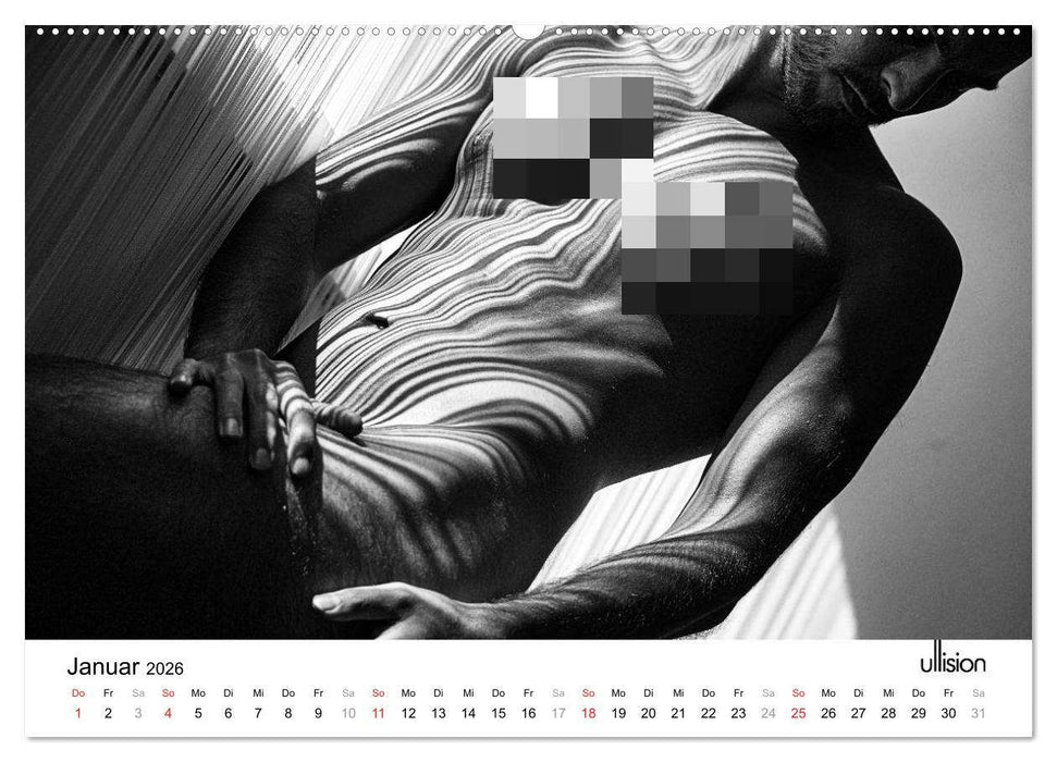 Männer AKT Art (CALVENDO Premium Wandkalender 2026)
