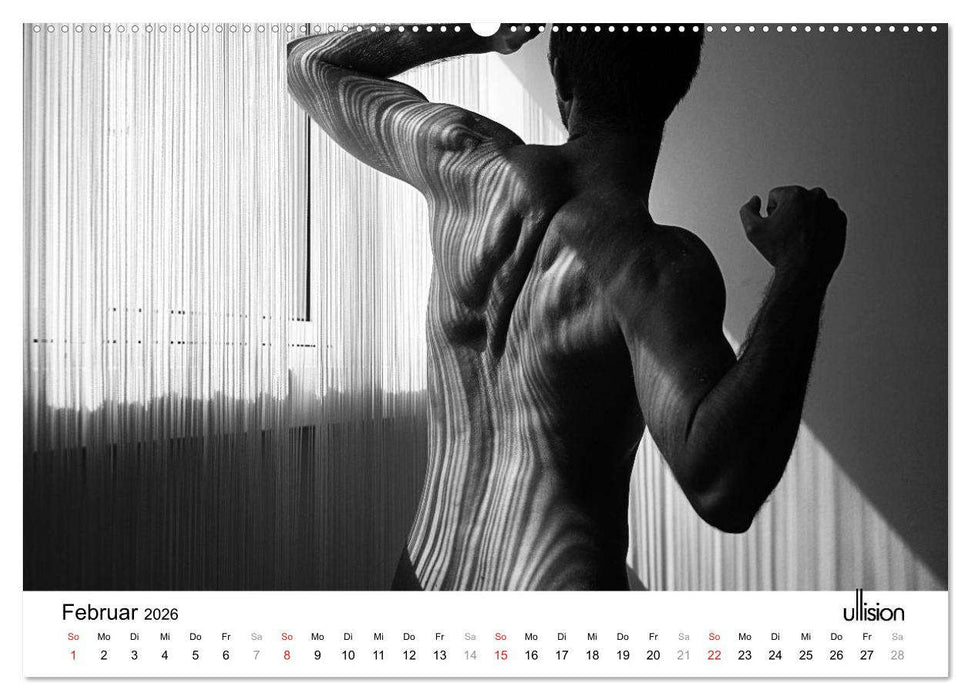 Männer AKT Art (CALVENDO Premium Wandkalender 2026)