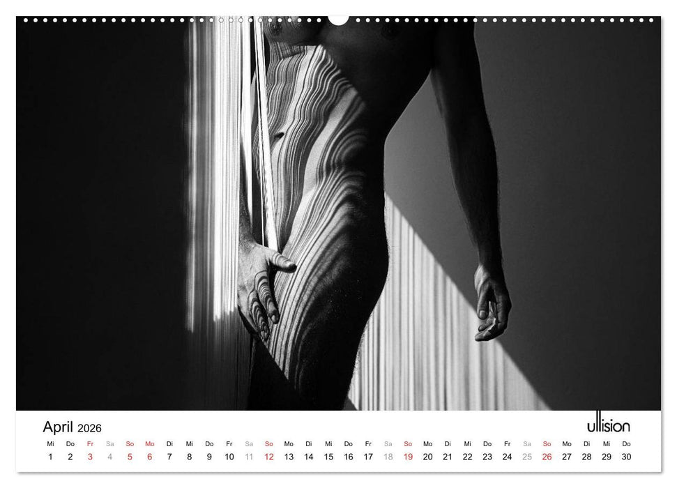 Männer AKT Art (CALVENDO Premium Wandkalender 2026)