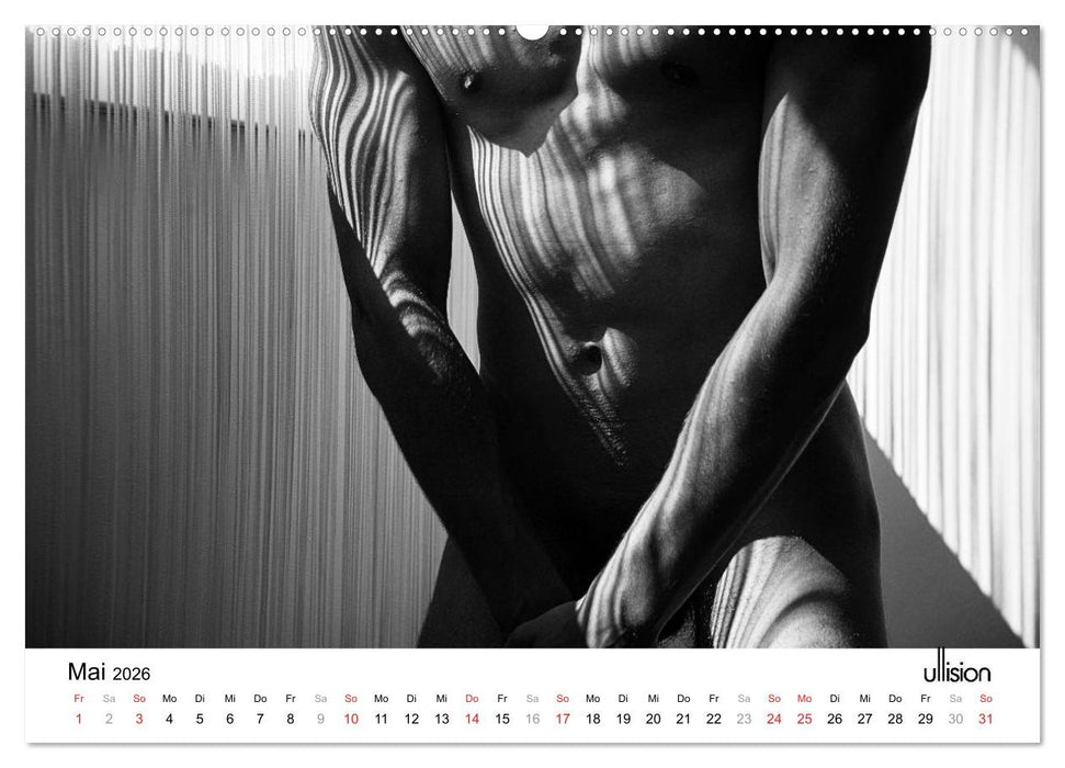 Männer AKT Art (CALVENDO Premium Wandkalender 2026)