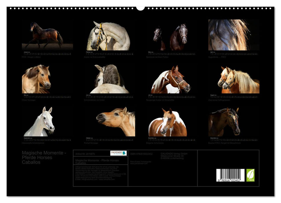 Magische Momente - Pferde Horses Caballos (CALVENDO Premium Wandkalender 2026)