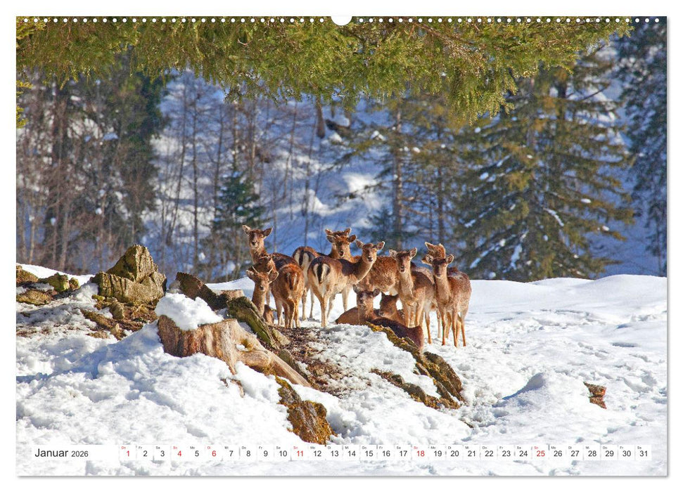 Waidmannsheil und Waidmannsdank (CALVENDO Premium Wandkalender 2026)