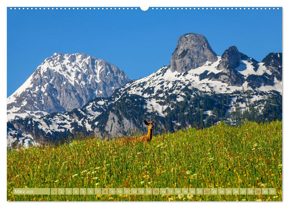 Waidmannsheil und Waidmannsdank (CALVENDO Premium Wandkalender 2026)