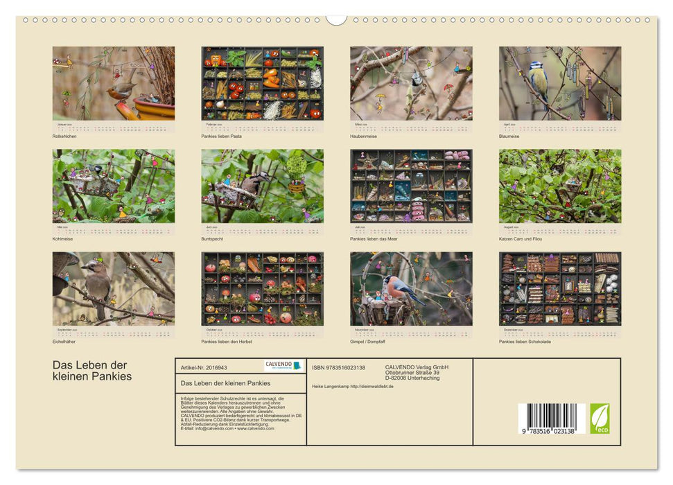 Das Leben der kleinen Pankies (CALVENDO Premium Wandkalender 2026)
