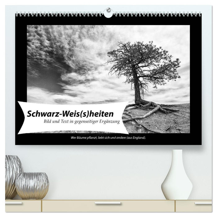 Schwarz-Weis(s)heiten (CALVENDO Premium Wandkalender 2026)