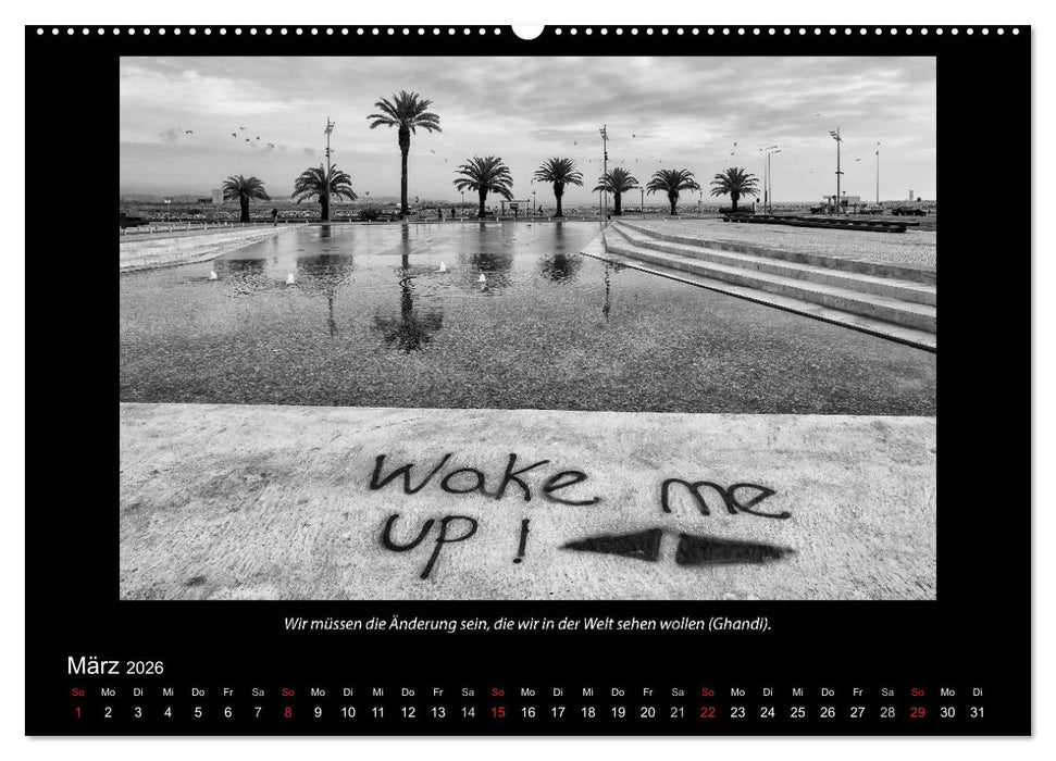 Schwarz-Weis(s)heiten (CALVENDO Premium Wandkalender 2026)