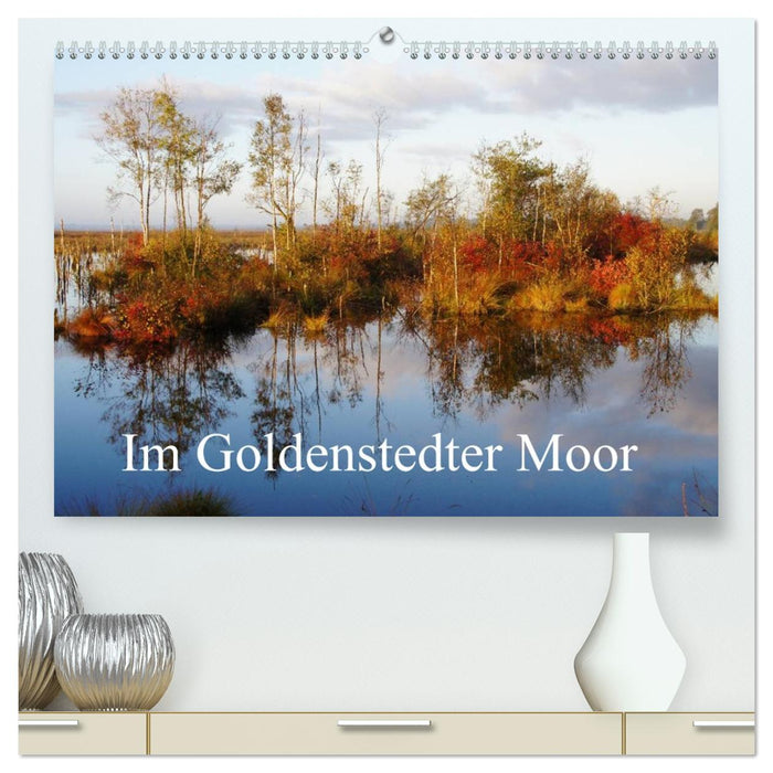 Im Goldenstedter Moor (CALVENDO Premium Wandkalender 2026)