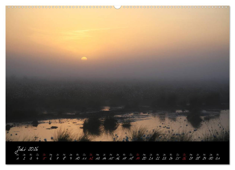 Im Goldenstedter Moor (CALVENDO Premium Wandkalender 2026)