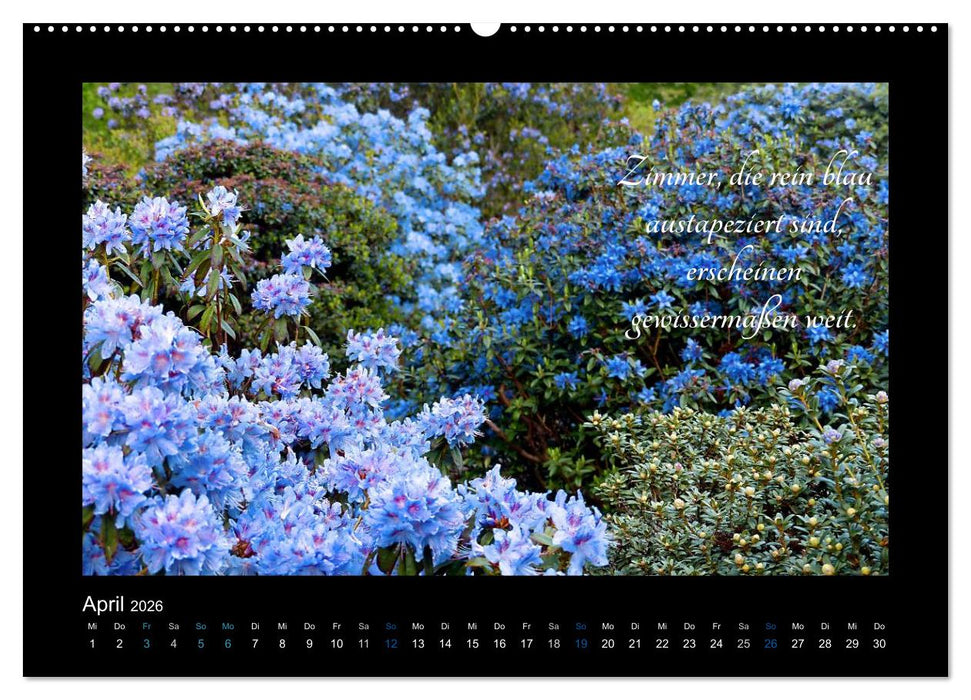 Goethes Blau. Gedanken zur Farbe (CALVENDO Premium Wandkalender 2026)