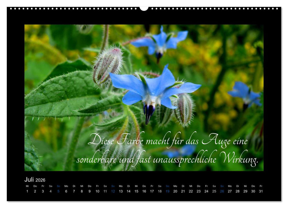 Goethes Blau. Gedanken zur Farbe (CALVENDO Premium Wandkalender 2026)