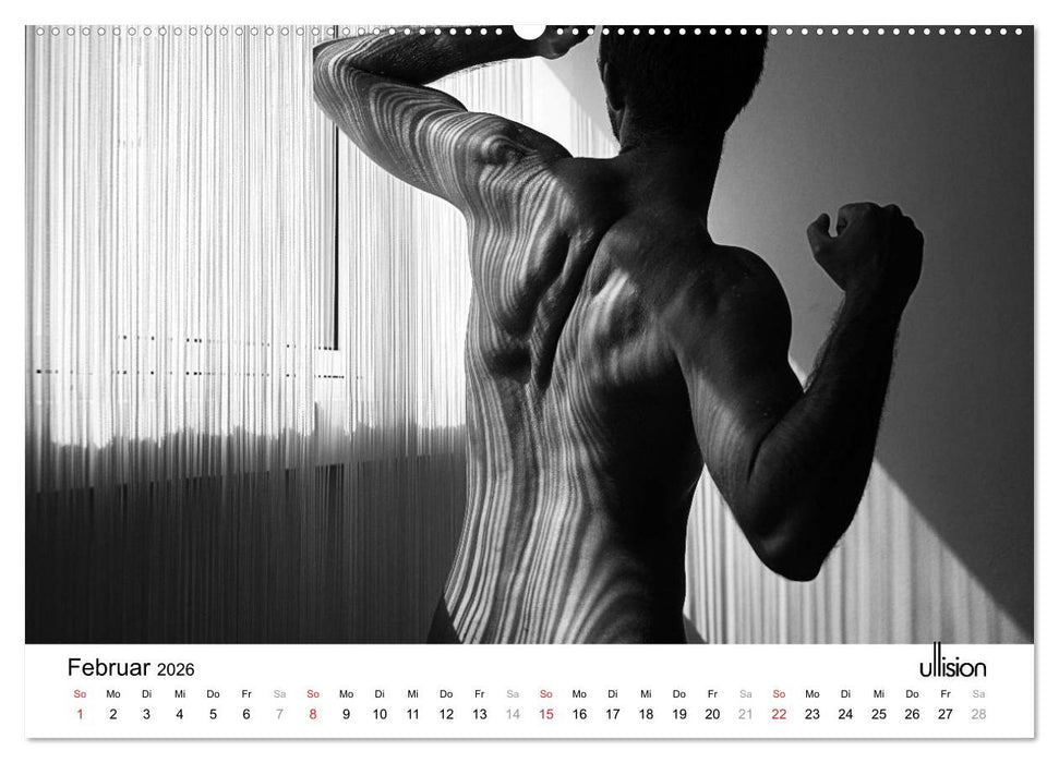 Männer AKT Art (CALVENDO Wandkalender 2026)