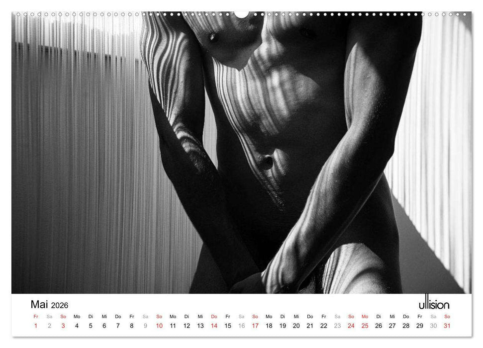 Männer AKT Art (CALVENDO Wandkalender 2026)