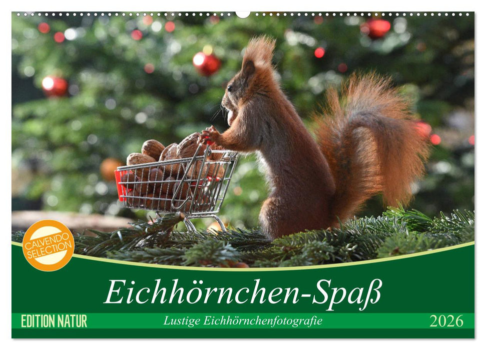 Eichhörnchen-Spaß (CALVENDO Wandkalender 2026)