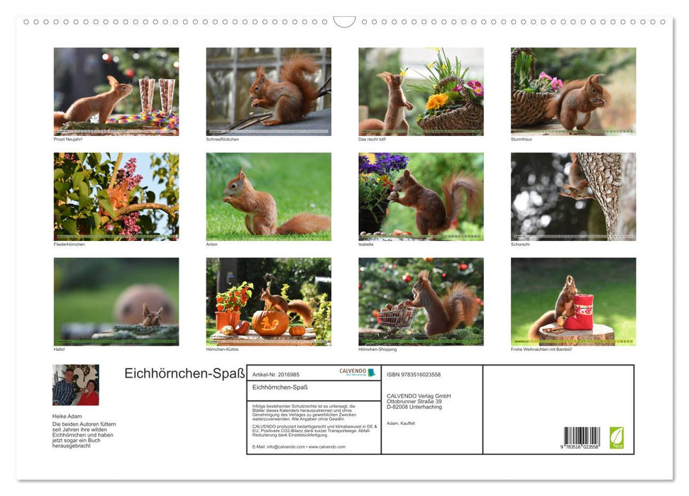 Eichhörnchen-Spaß (CALVENDO Wandkalender 2026)