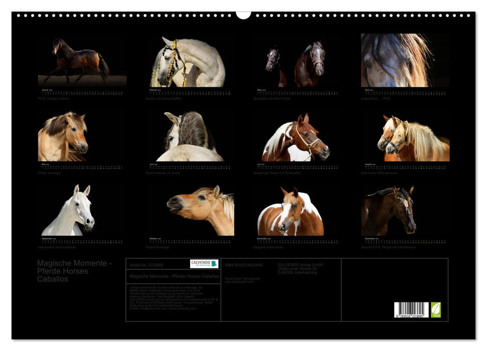 Magische Momente - Pferde Horses Caballos (CALVENDO Wandkalender 2026)