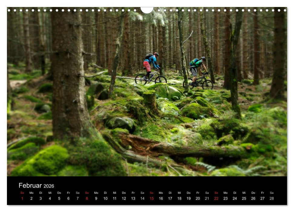 Mountainbike Abenteuer Deutschland (CALVENDO Wandkalender 2026)