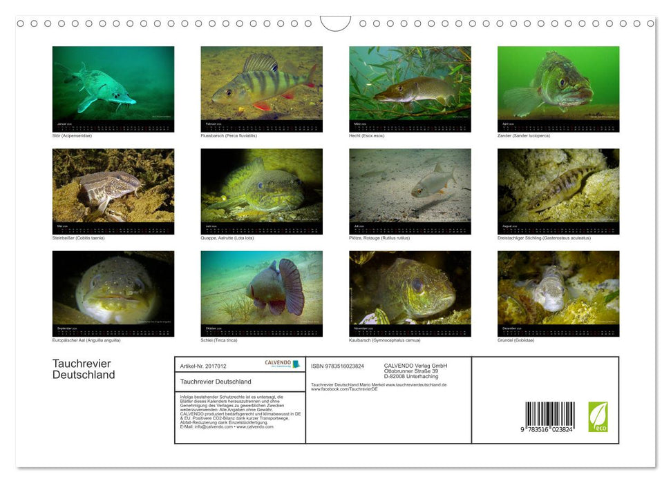 Tauchrevier Deutschland (CALVENDO Wandkalender 2026)