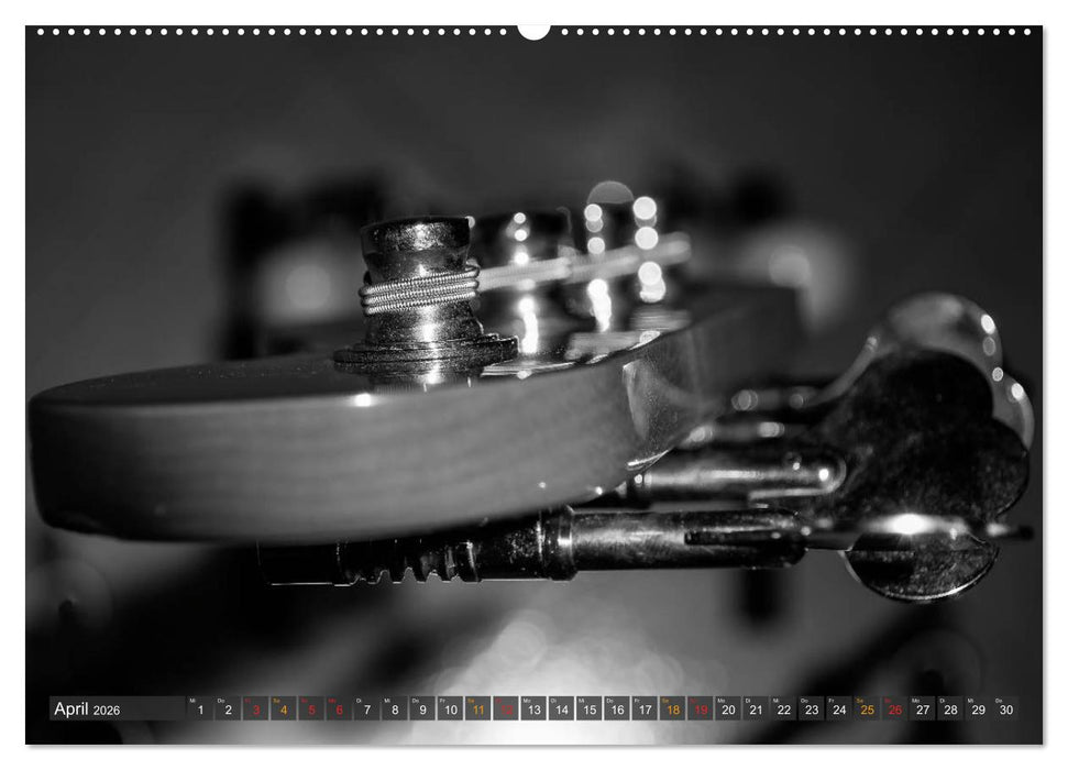 Bassgitarren - einfach cool (CALVENDO Wandkalender 2026)