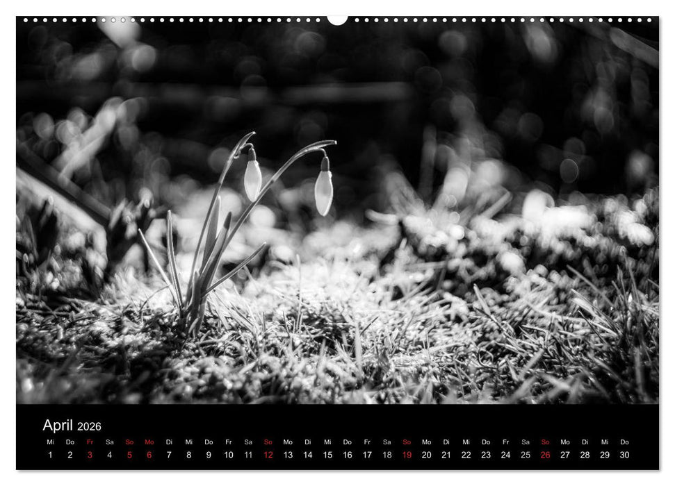 Monochrom 2026 (CALVENDO Premium Wandkalender 2026)