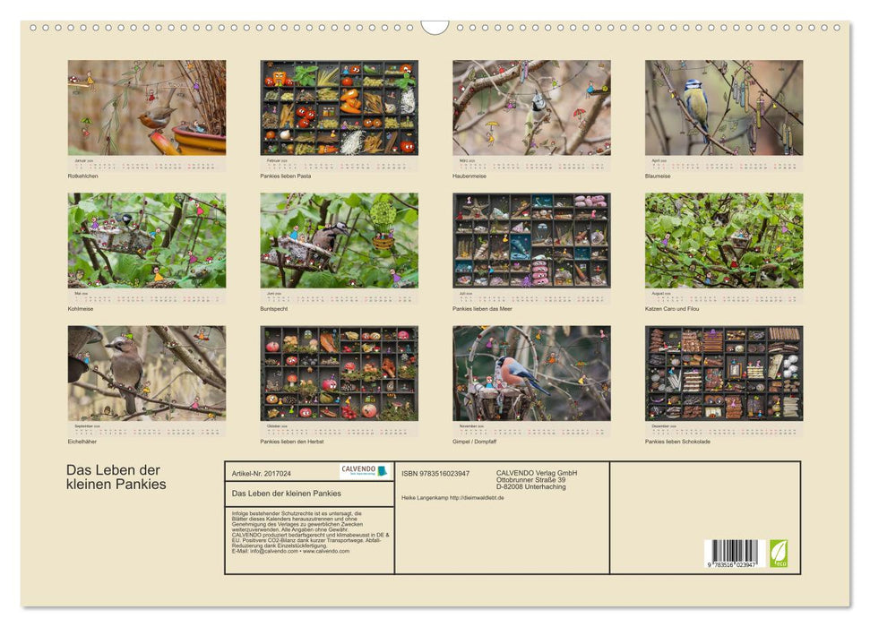 Das Leben der kleinen Pankies (CALVENDO Wandkalender 2026)